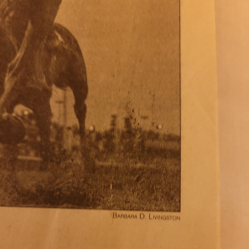 East Daily Racing Form - Picture 4 of 7